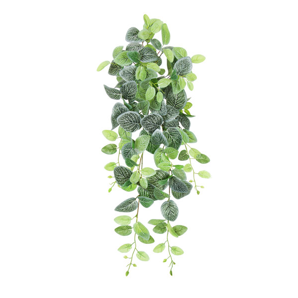 Primrue Artificial Fittonia Ivy Hanging Plant Wayfair